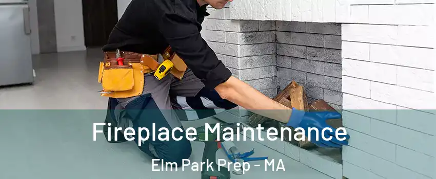 Fireplace Maintenance Elm Park Prep - MA