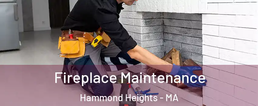 Fireplace Maintenance Hammond Heights - MA