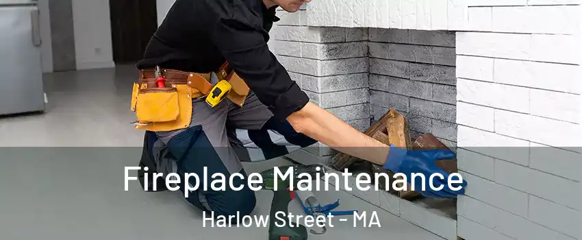 Fireplace Maintenance Harlow Street - MA