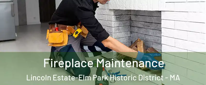 Fireplace Maintenance Lincoln Estate-Elm Park Historic District - MA