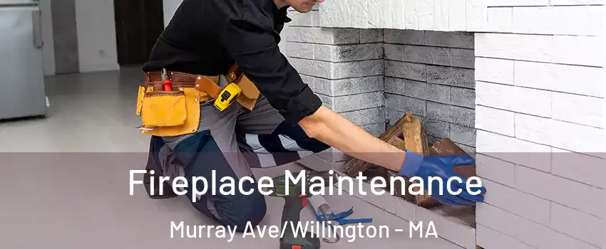 Fireplace Maintenance Murray Ave/Willington - MA