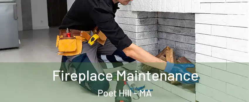 Fireplace Maintenance Poet Hill - MA