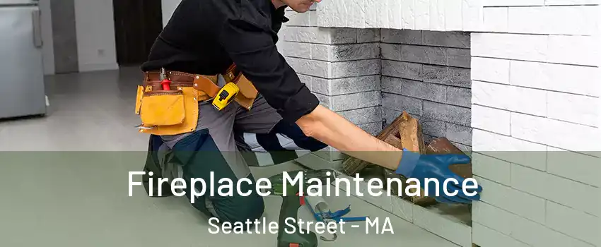 Fireplace Maintenance Seattle Street - MA