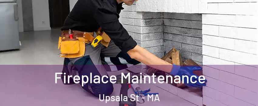 Fireplace Maintenance Upsala St - MA