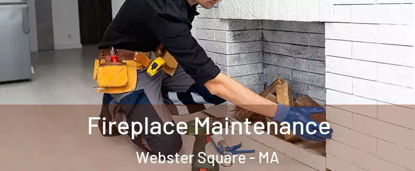 Fireplace Maintenance Webster Square - MA