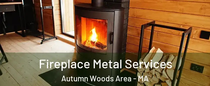 Fireplace Metal Services Autumn Woods Area - MA