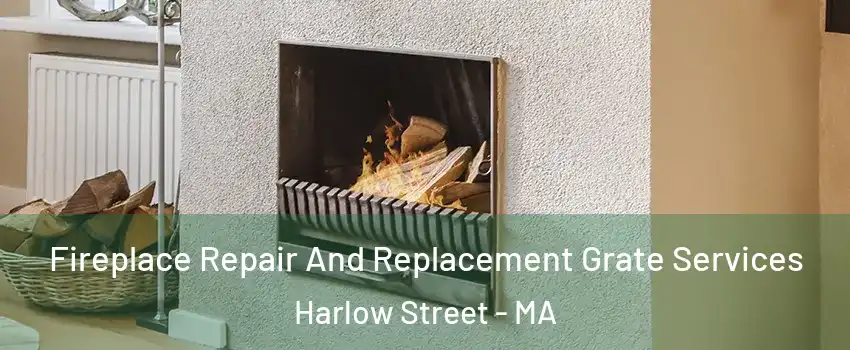 Fireplace Repair And Replacement Grate Services Harlow Street - MA