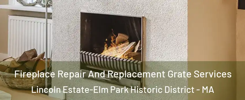 Fireplace Repair And Replacement Grate Services Lincoln Estate-Elm Park Historic District - MA