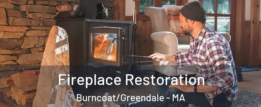 Fireplace Restoration Burncoat/Greendale - MA