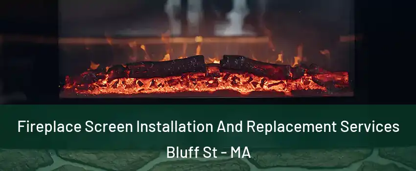 Fireplace Screen Installation And Replacement Services Bluff St - MA