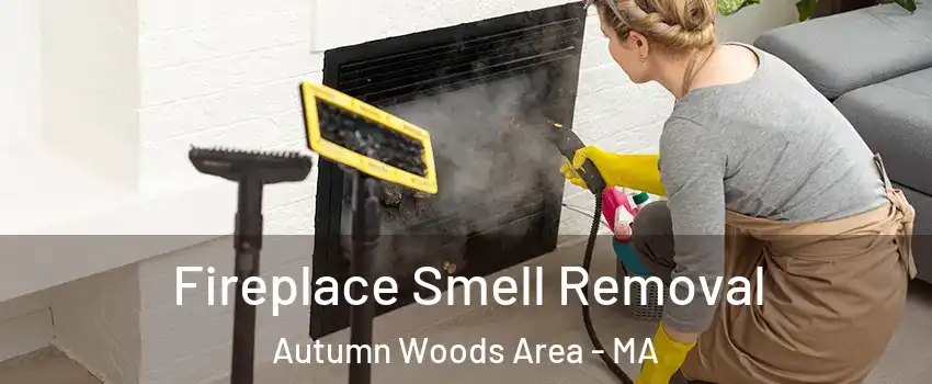 Fireplace Smell Removal Autumn Woods Area - MA