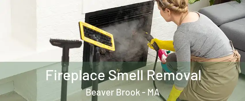 Fireplace Smell Removal Beaver Brook - MA