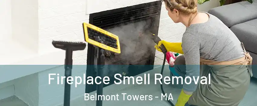 Fireplace Smell Removal Belmont Towers - MA