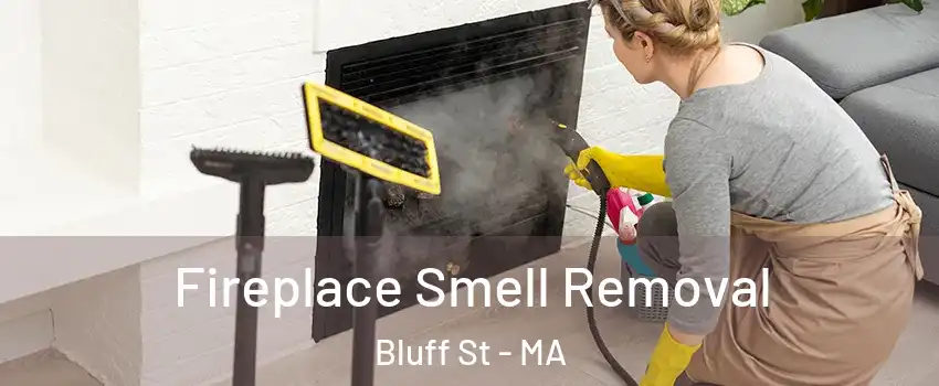 Fireplace Smell Removal Bluff St - MA