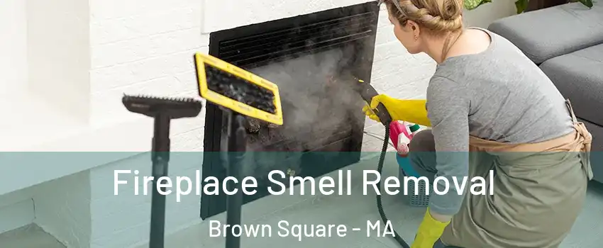 Fireplace Smell Removal Brown Square - MA