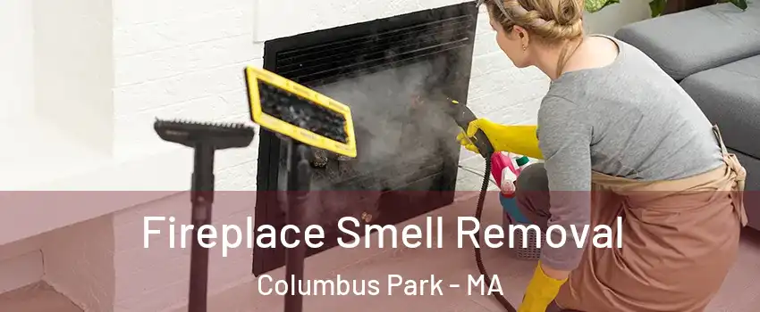 Fireplace Smell Removal Columbus Park - MA