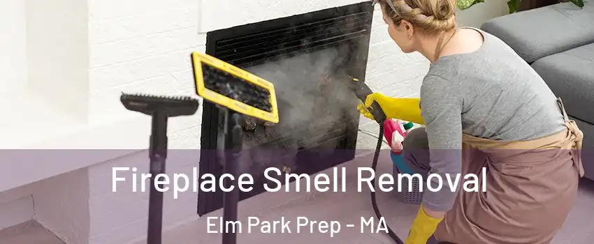 Fireplace Smell Removal Elm Park Prep - MA