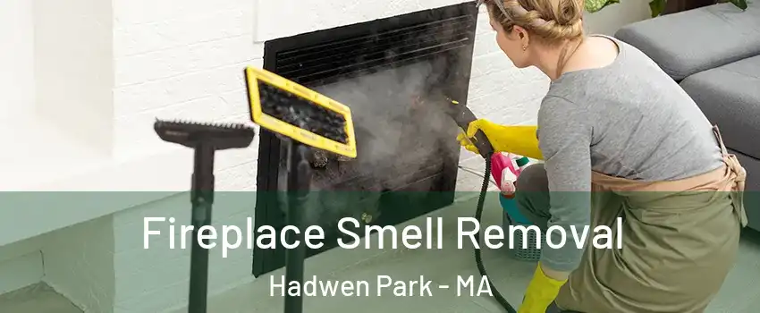 Fireplace Smell Removal Hadwen Park - MA