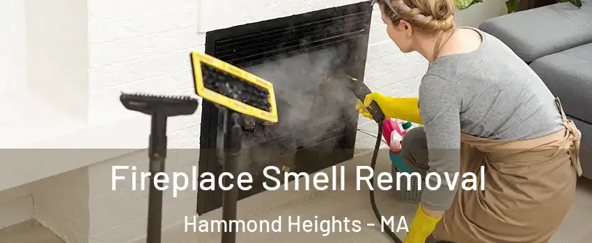 Fireplace Smell Removal Hammond Heights - MA