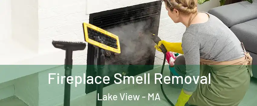 Fireplace Smell Removal Lake View - MA