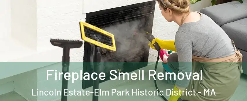 Fireplace Smell Removal Lincoln Estate-Elm Park Historic District - MA