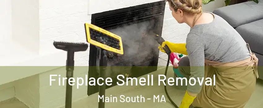 Fireplace Smell Removal Main South - MA