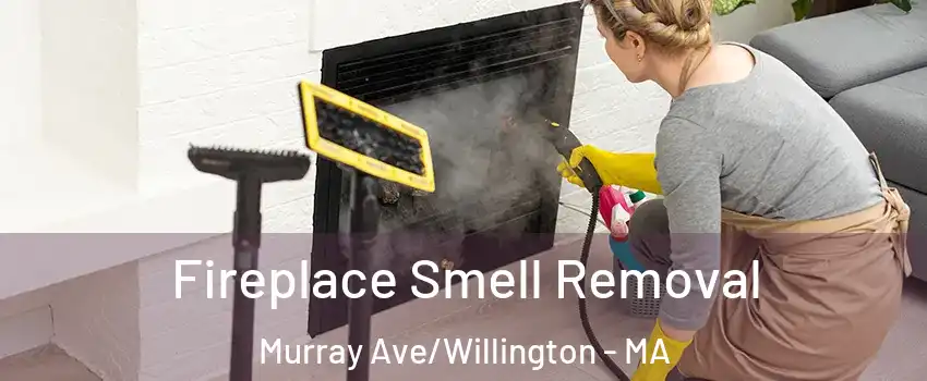 Fireplace Smell Removal Murray Ave/Willington - MA