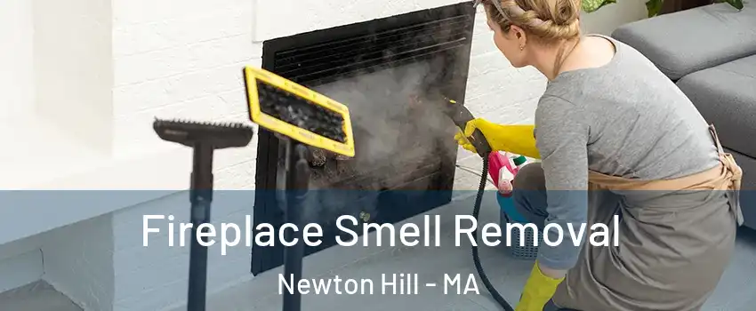 Fireplace Smell Removal Newton Hill - MA