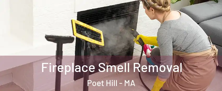 Fireplace Smell Removal Poet Hill - MA