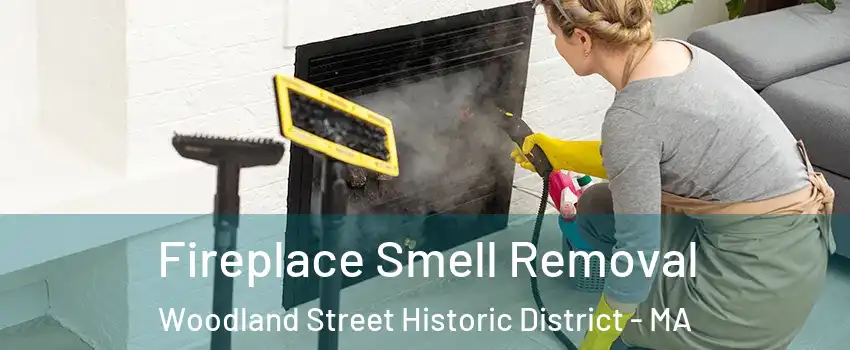 Fireplace Smell Removal Woodland Street Historic District - MA