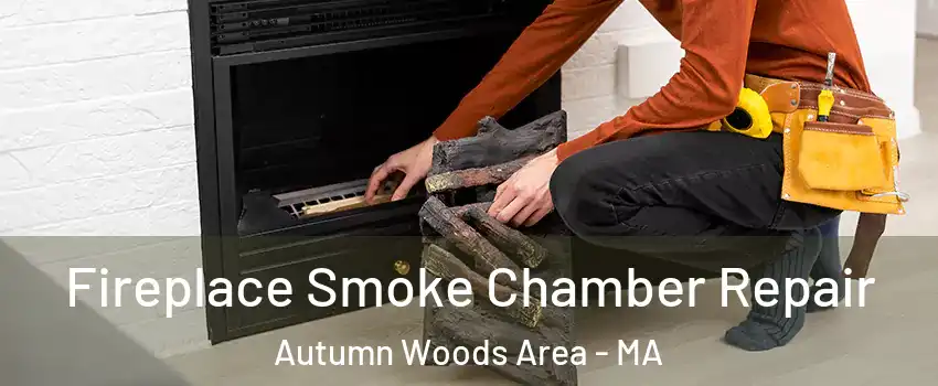 Fireplace Smoke Chamber Repair Autumn Woods Area - MA