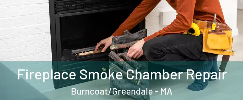 Fireplace Smoke Chamber Repair Burncoat/Greendale - MA