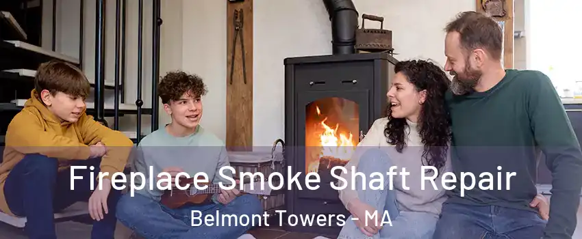 Fireplace Smoke Shaft Repair Belmont Towers - MA