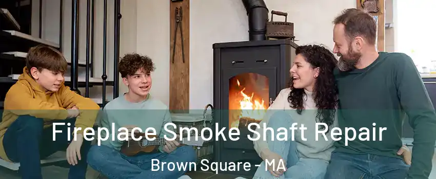 Fireplace Smoke Shaft Repair Brown Square - MA