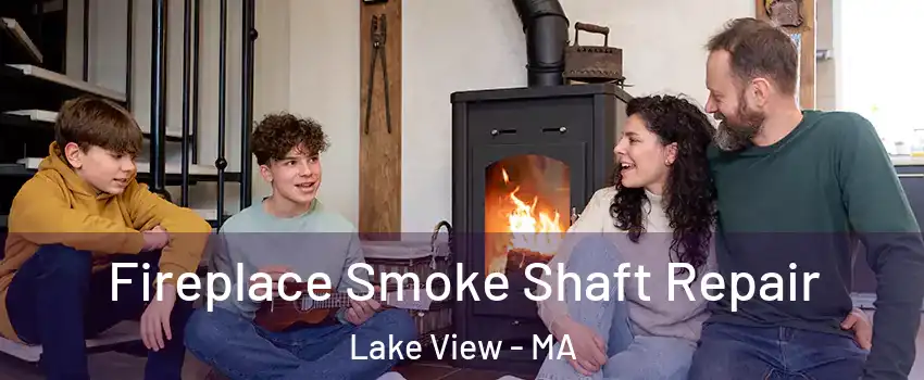 Fireplace Smoke Shaft Repair Lake View - MA