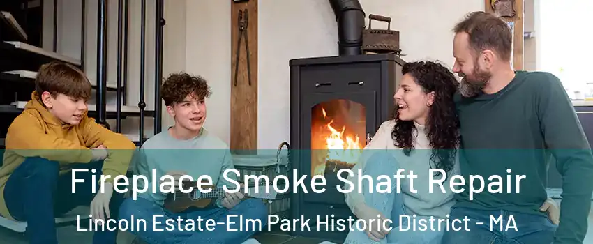 Fireplace Smoke Shaft Repair Lincoln Estate-Elm Park Historic District - MA