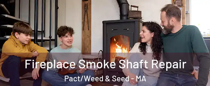 Fireplace Smoke Shaft Repair Pact/Weed & Seed - MA