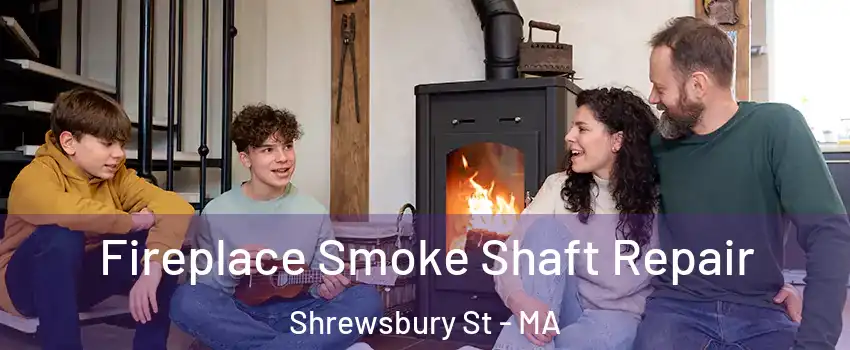 Fireplace Smoke Shaft Repair Shrewsbury St - MA