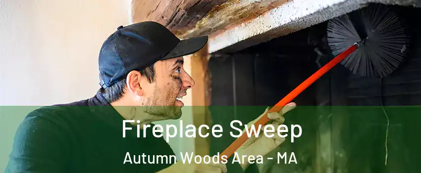 Fireplace Sweep Autumn Woods Area - MA