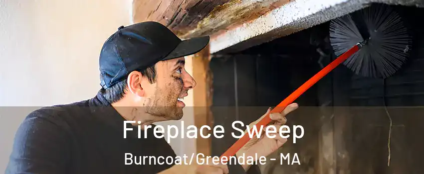 Fireplace Sweep Burncoat/Greendale - MA