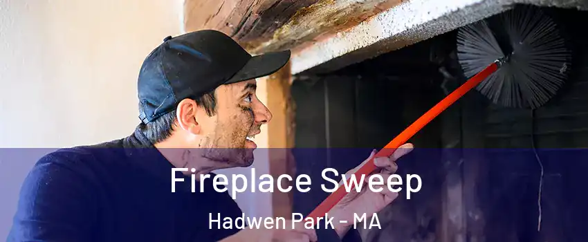 Fireplace Sweep Hadwen Park - MA