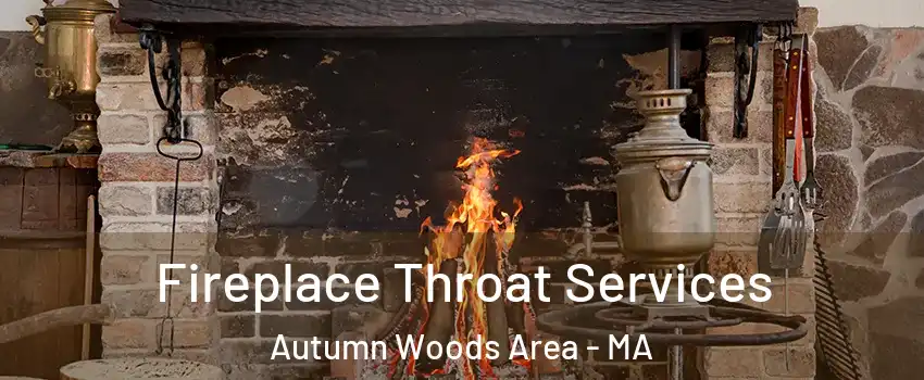 Fireplace Throat Services Autumn Woods Area - MA