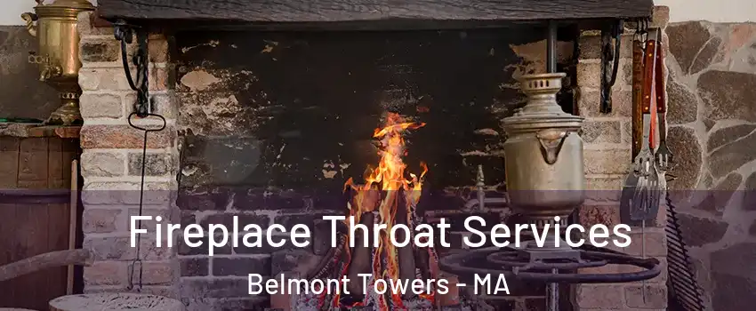 Fireplace Throat Services Belmont Towers - MA