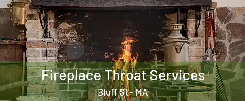 Fireplace Throat Services Bluff St - MA