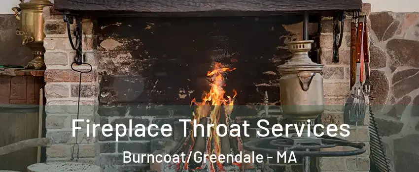 Fireplace Throat Services Burncoat/Greendale - MA