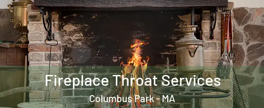 Fireplace Throat Services Columbus Park - MA