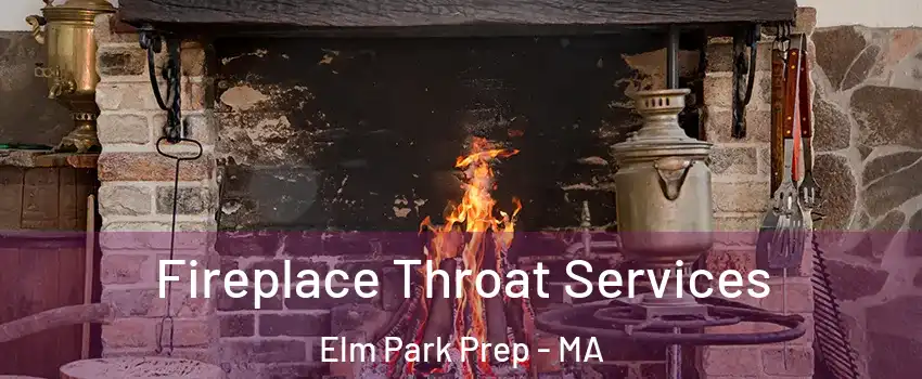 Fireplace Throat Services Elm Park Prep - MA