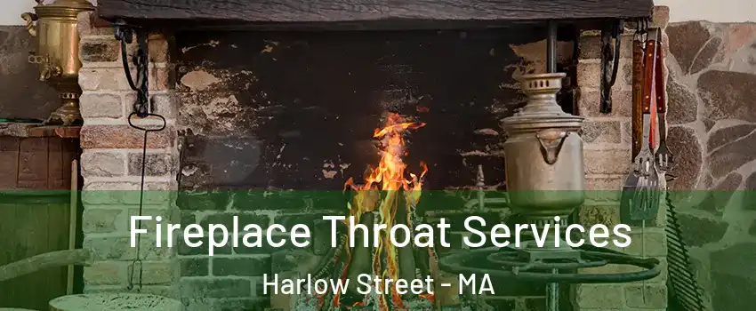 Fireplace Throat Services Harlow Street - MA