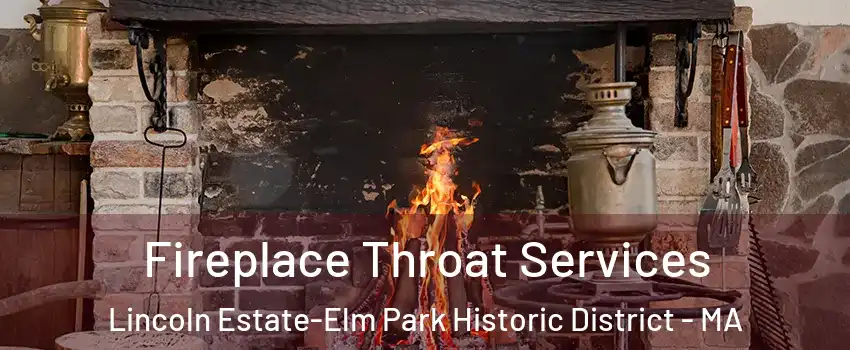 Fireplace Throat Services Lincoln Estate-Elm Park Historic District - MA