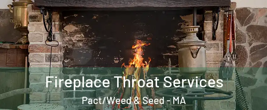 Fireplace Throat Services Pact/Weed & Seed - MA